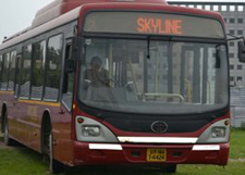 Skyline Home on Travelers